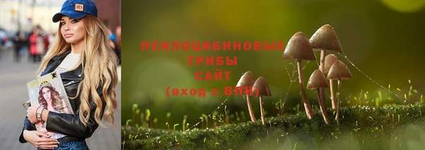 прущие крисы Богородск