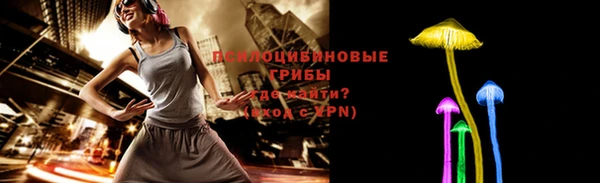apvp Богданович