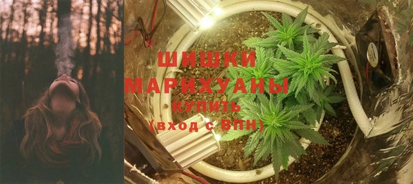 apvp Богданович
