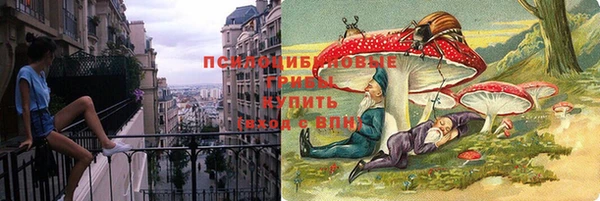apvp Богданович