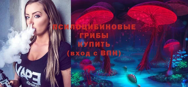 apvp Богданович
